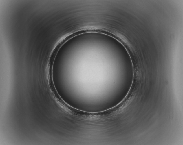 X0000116681030200912211620