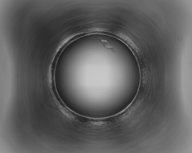 X0000116681031200912211620