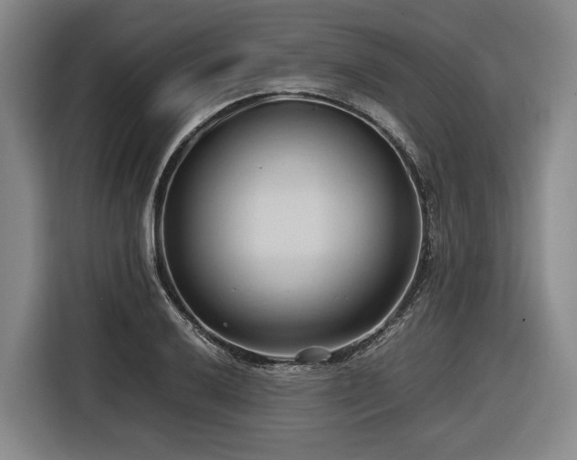 X0000116681032200912211620