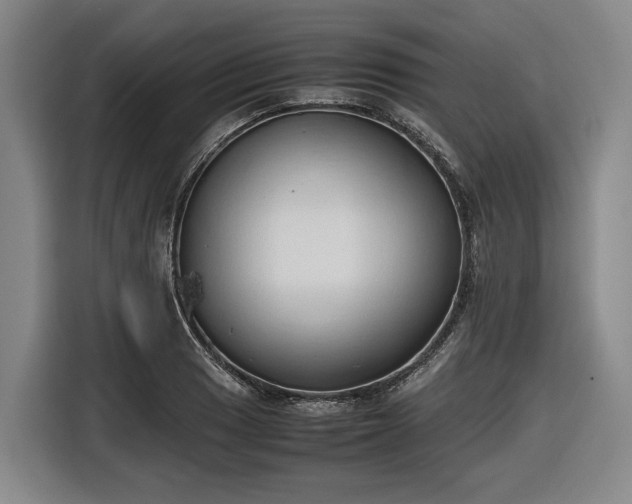 X0000116681033200912211620