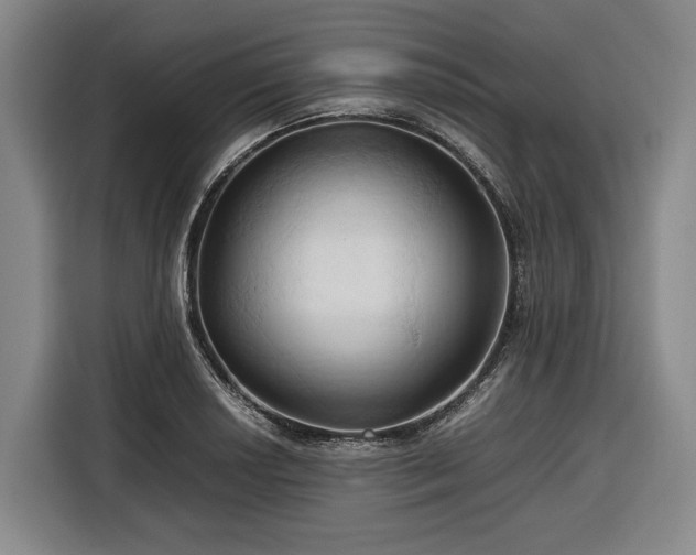 X0000116681034200912211620