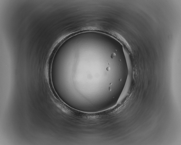 X0000116681035200912211620