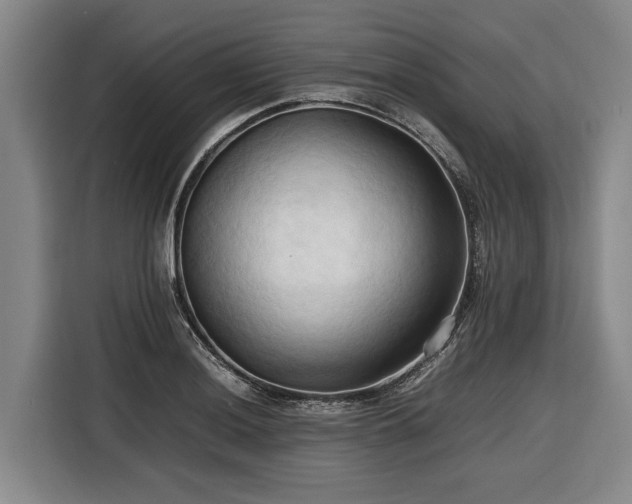 X0000116681036200912211620