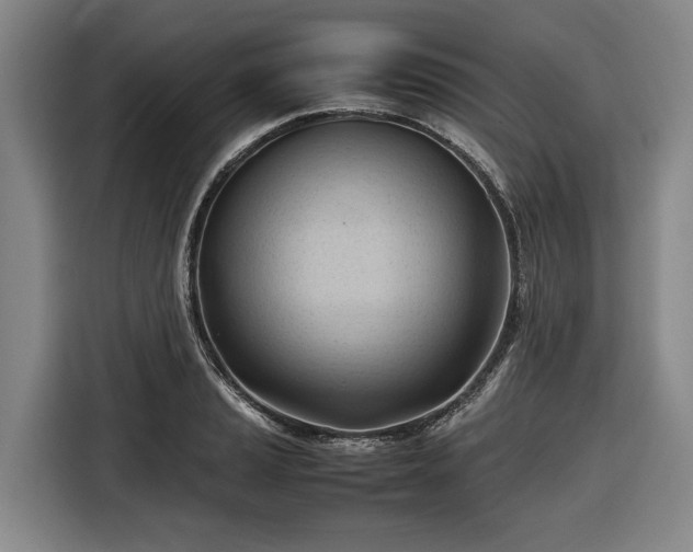 X0000116681037200912211620