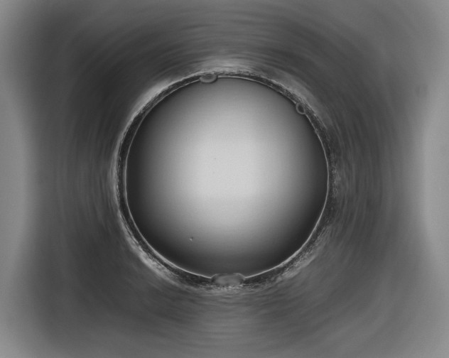 X0000116681038200912211620