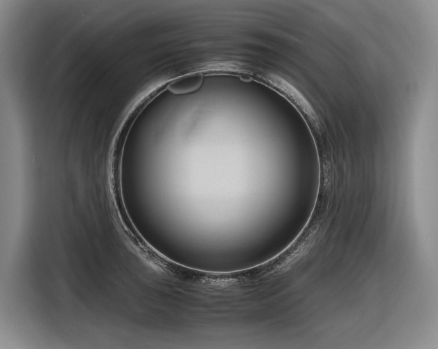 X0000116681043200912211620