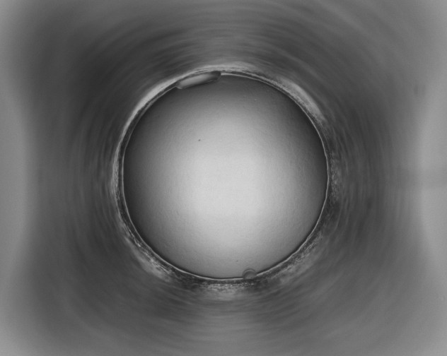 X0000116681044200912211620