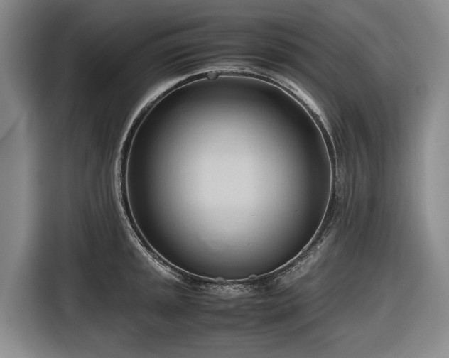 X0000116681045200912211620