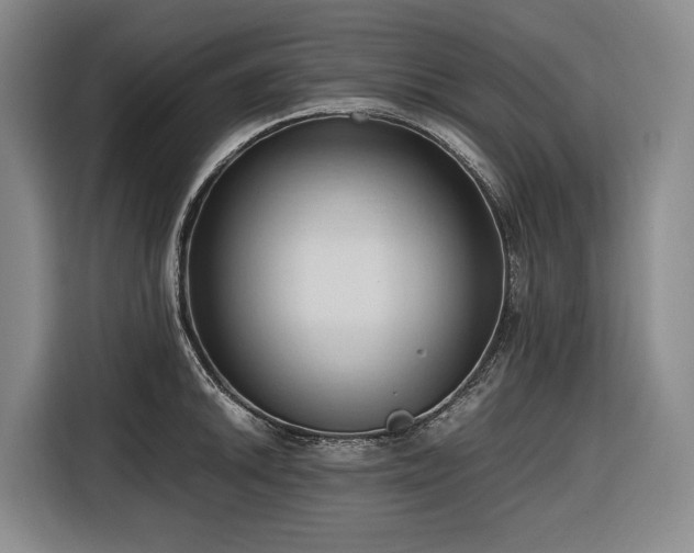 X0000116681046200912211620