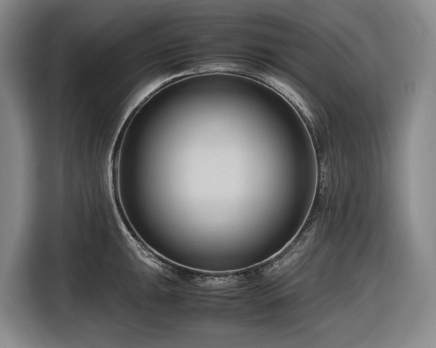 X0000116681047200912211620