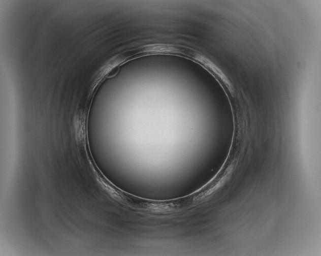 X0000116681049200912211620