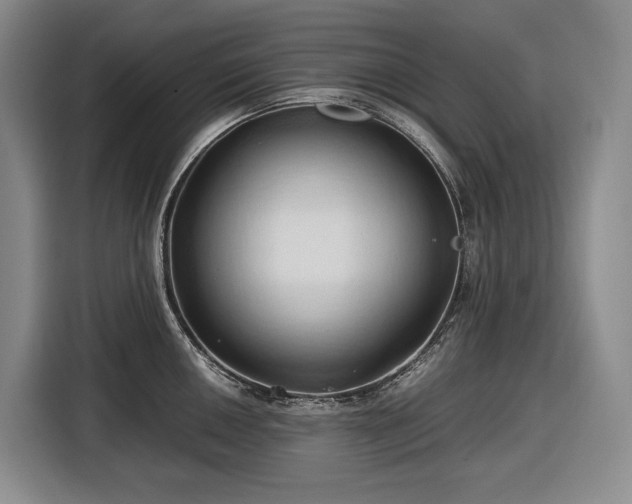 X0000116681050200912211620