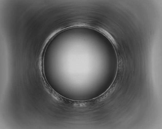 X0000116681051200912211620