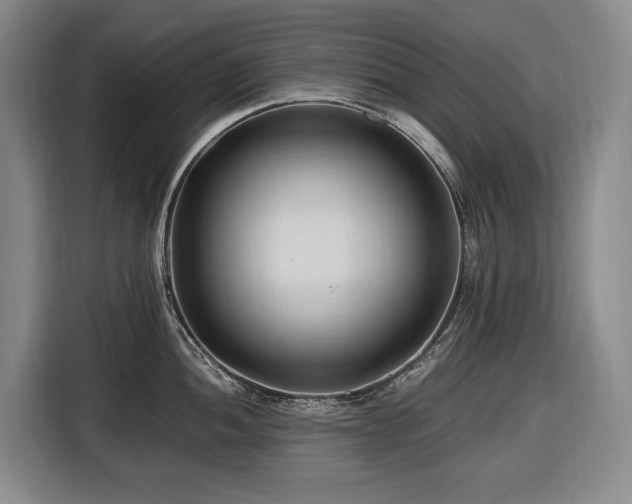 X0000116681052200912211620