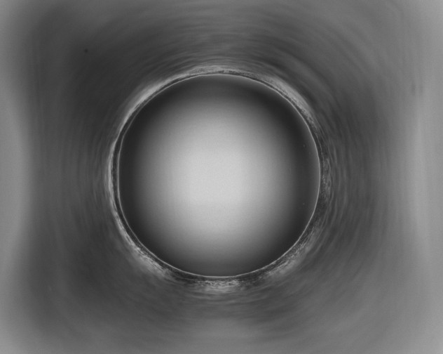 X0000116681055200912211620