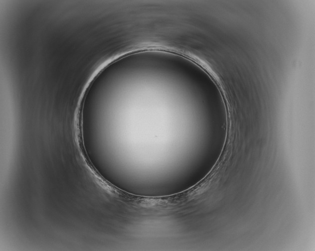 X0000116681056200912211620