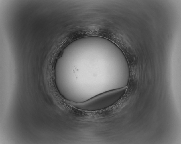 X0000116681057200912211619