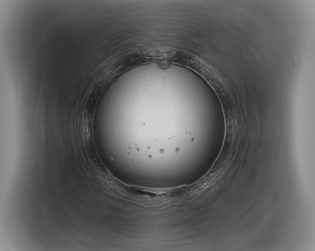 X0000116681058200912211619