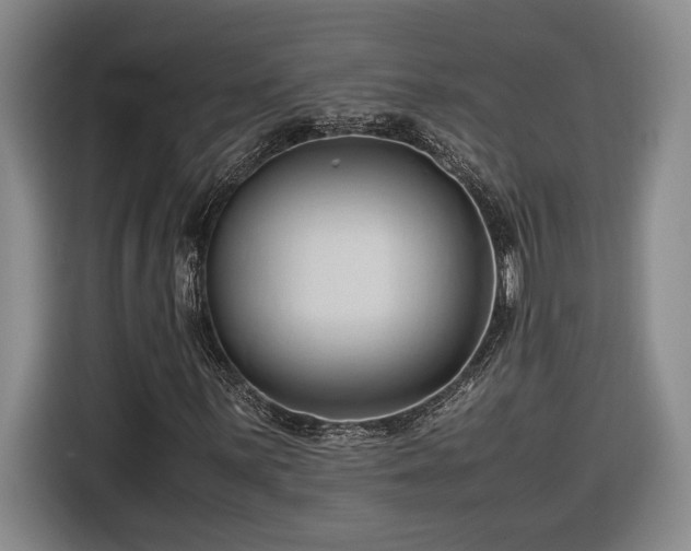 X0000116681059200912211619