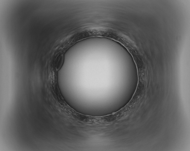 X0000116681061200912211619