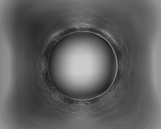 X0000116681063200912211619