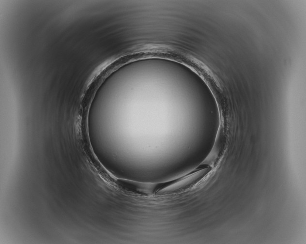 X0000116681066200912211619