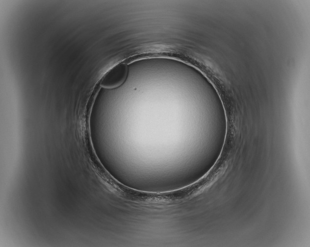 X0000116681073200912211619