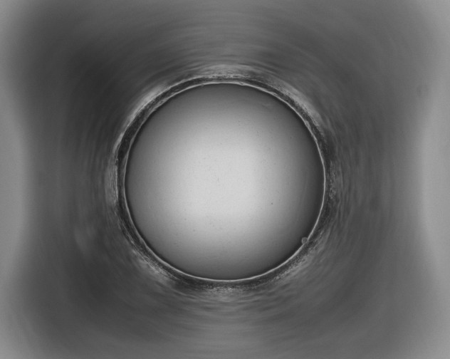 X0000116681075200912211619