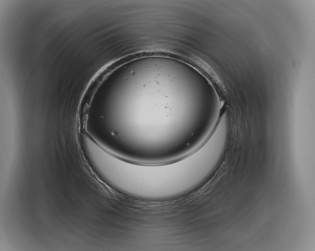 X0000116681076200912211619