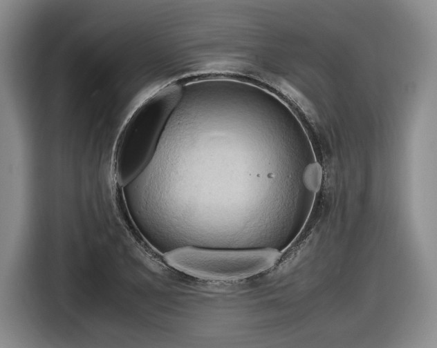 X0000116681077200912211619