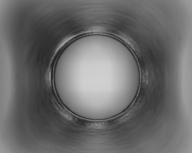 X0000116681078200912211619