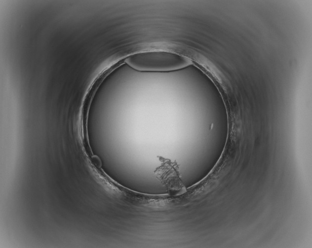 X0000116681080200912211619