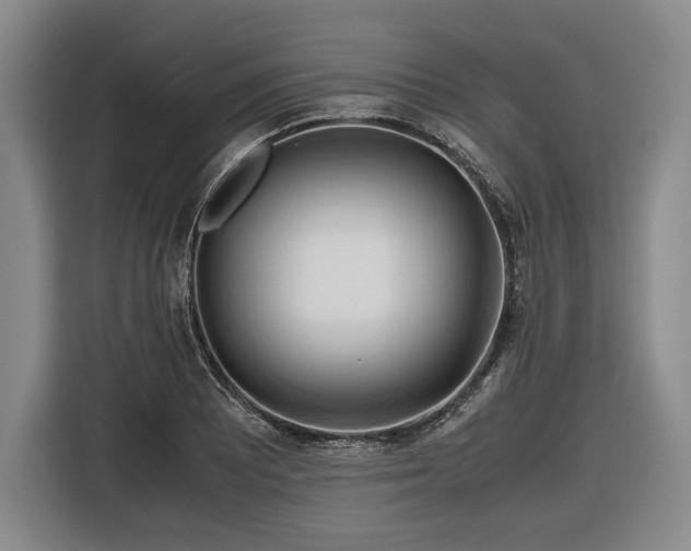 X0000116681081200912211619