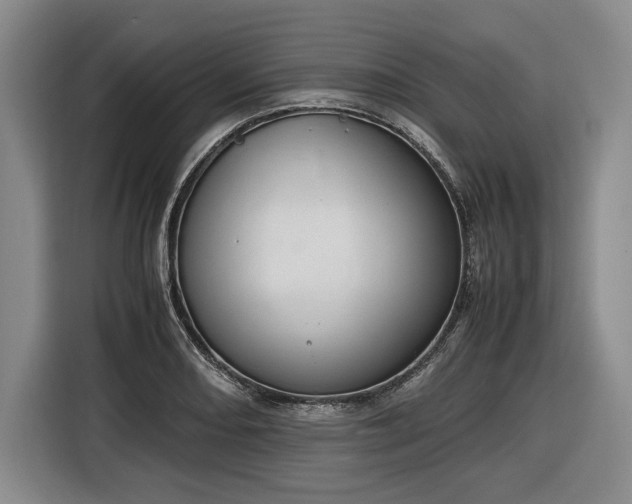 X0000116681082200912211619