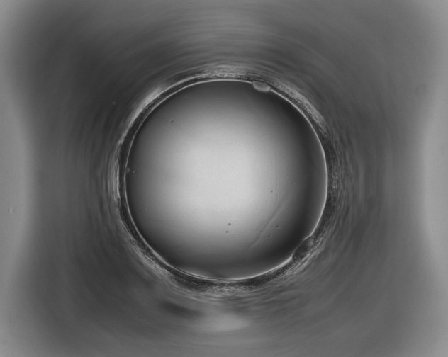 X0000116681083200912211619