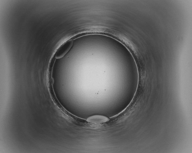 X0000116681085200912211619