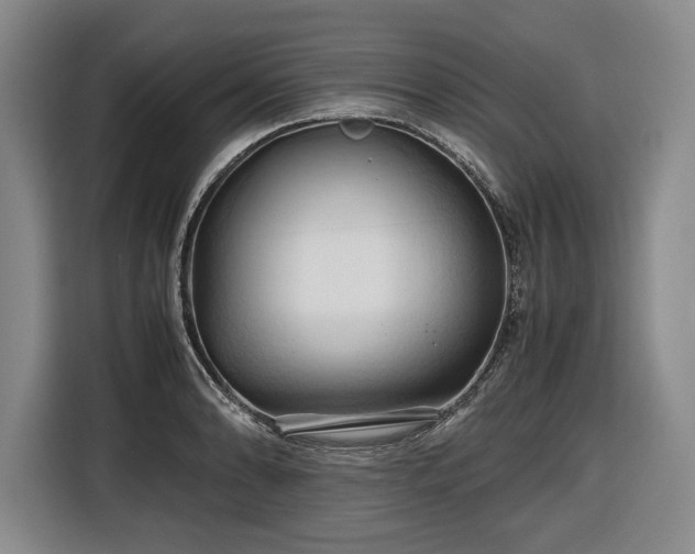 X0000116681086200912211619