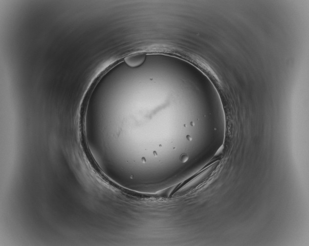 X0000116681087200912211619