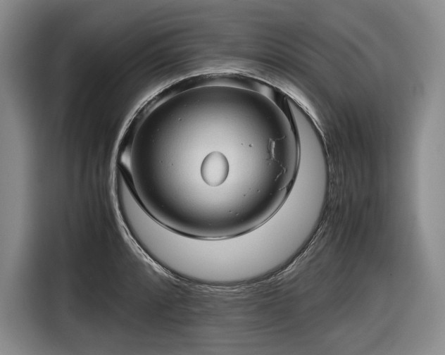 X0000116681088200912211619