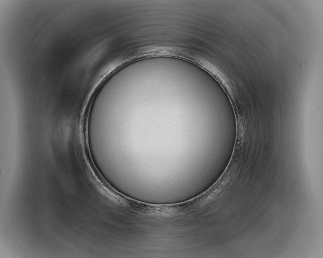 X0000116681090200912211619