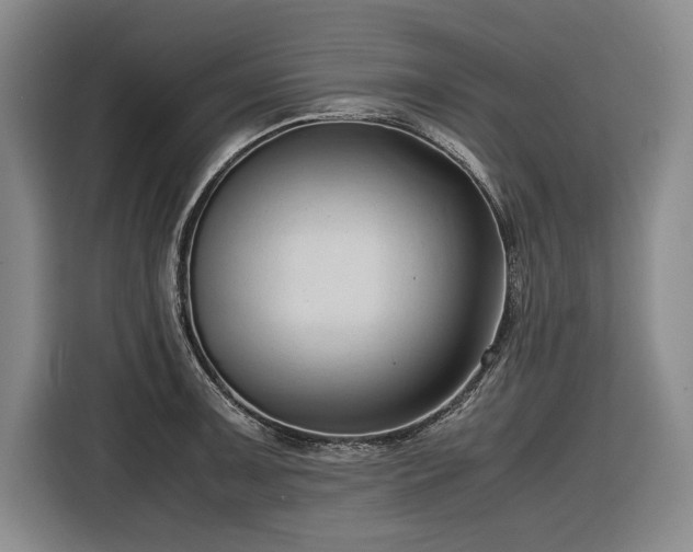 X0000116681091200912211619