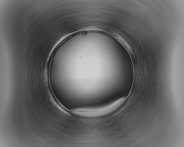 X0000116681092200912211619