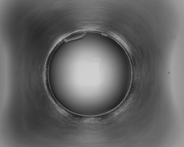 X0000116681093200912211619