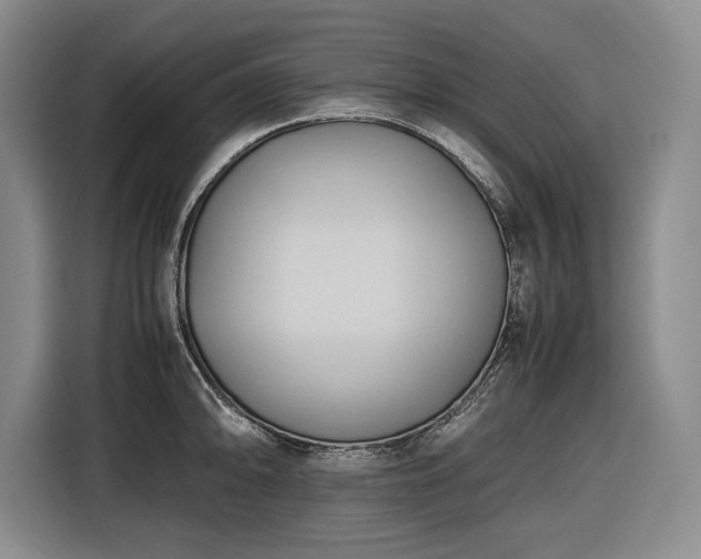 X0000116681094200912211619