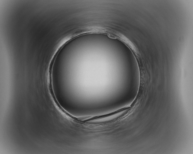 X0000116681095200912211619