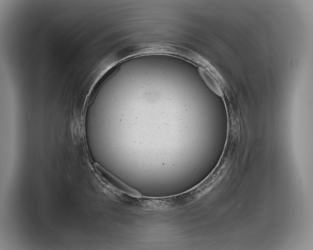 X0000116681097200912211619