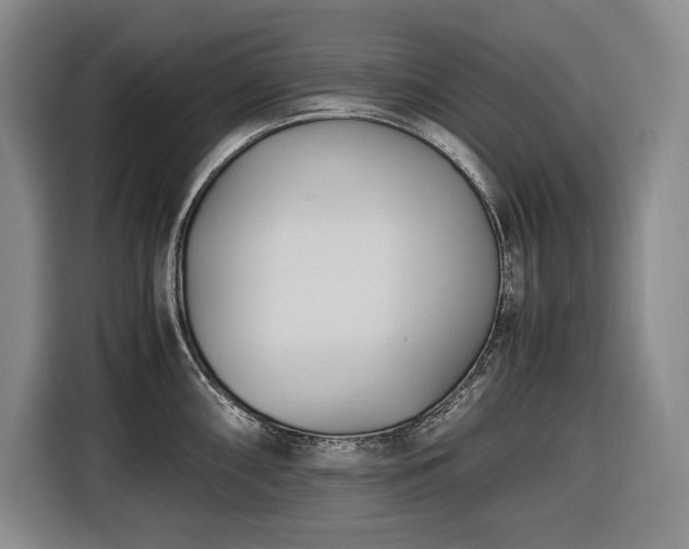 X0000116681098200912211619