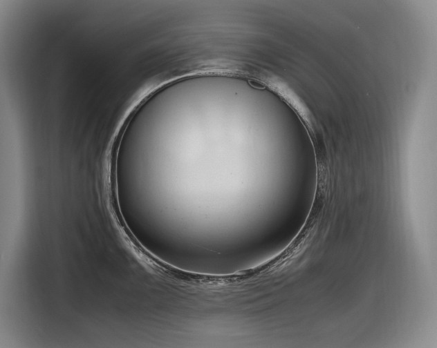 X0000116681099200912211619