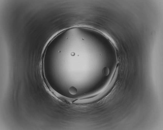 X0000116681100200912211619