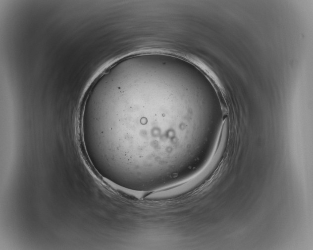 X0000116681101200912211619